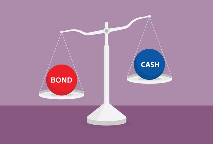 Cash vs bonds (or both) in your portfolio